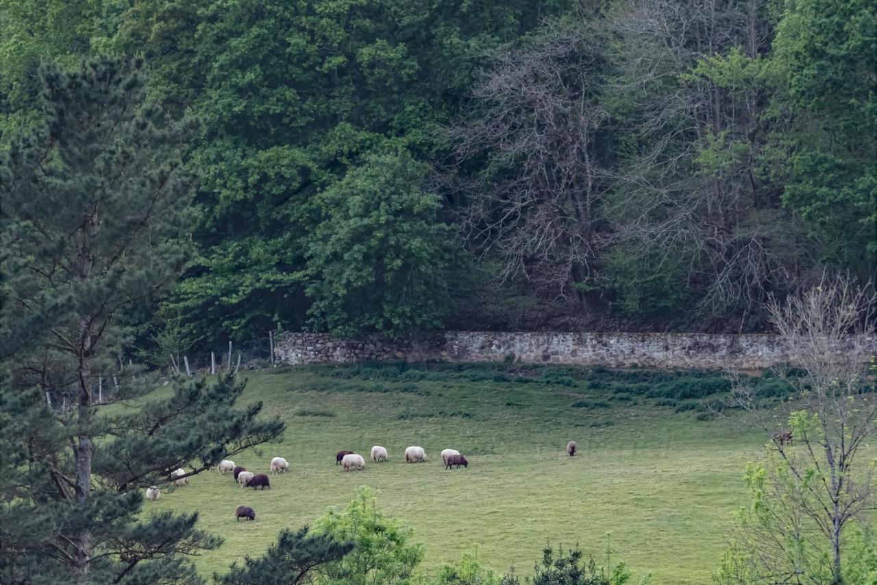 La Coqueta Del Sueve Villa Arriondas Eksteriør bilde