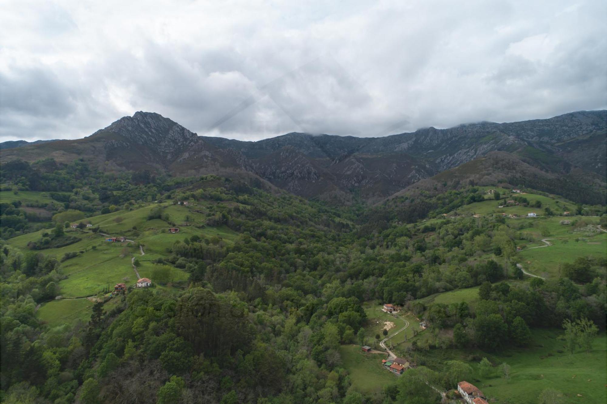 La Coqueta Del Sueve Villa Arriondas Eksteriør bilde